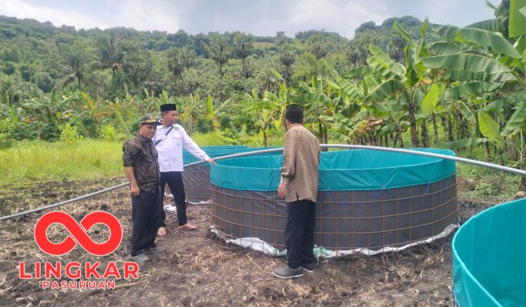 BUMDes Gunung Sari Sejahtera Beji Pasuruan Kembangkan Budidaya Ikan dan Kambing