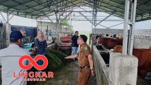 Monev Ketahanan Pangan Desa Kraton Pasuruan 2026: Tim Kecamatan Kraton dan TPP Cek Realisasi Penggemukan Sapi
