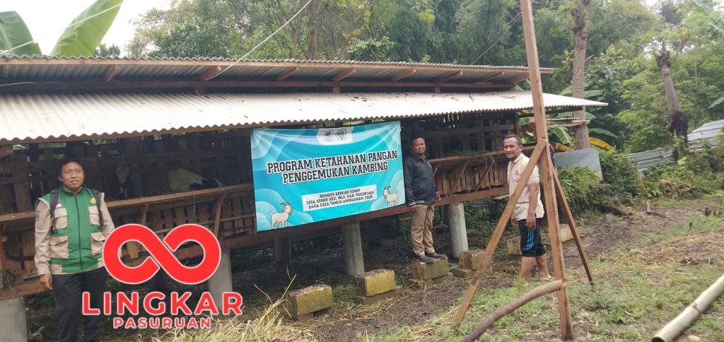 Dinas Peternakan Beji Pantau Budidaya Kambing dan Bebek di Desa Kenep
