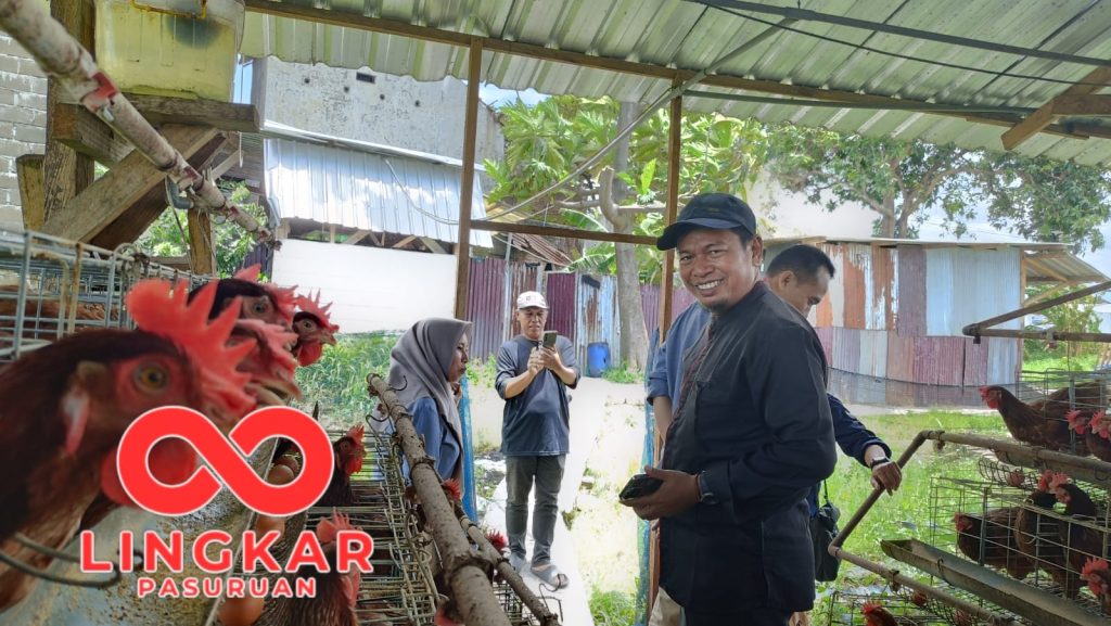 BUMDes Sumber Makmur Mojoparon Kembangkan Budidaya Ayam Petelur dan Puyuh