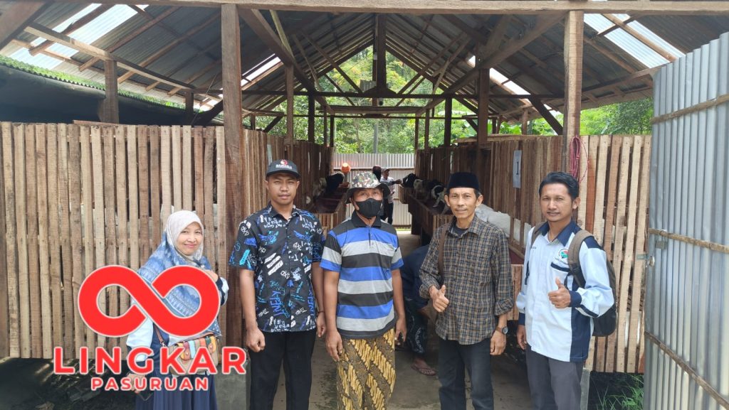 Bumdesa Margo Makmur Mangguan Kembangkan 50 Kambing Senduro untuk Program Ketahanan Pangan Desa 2025
